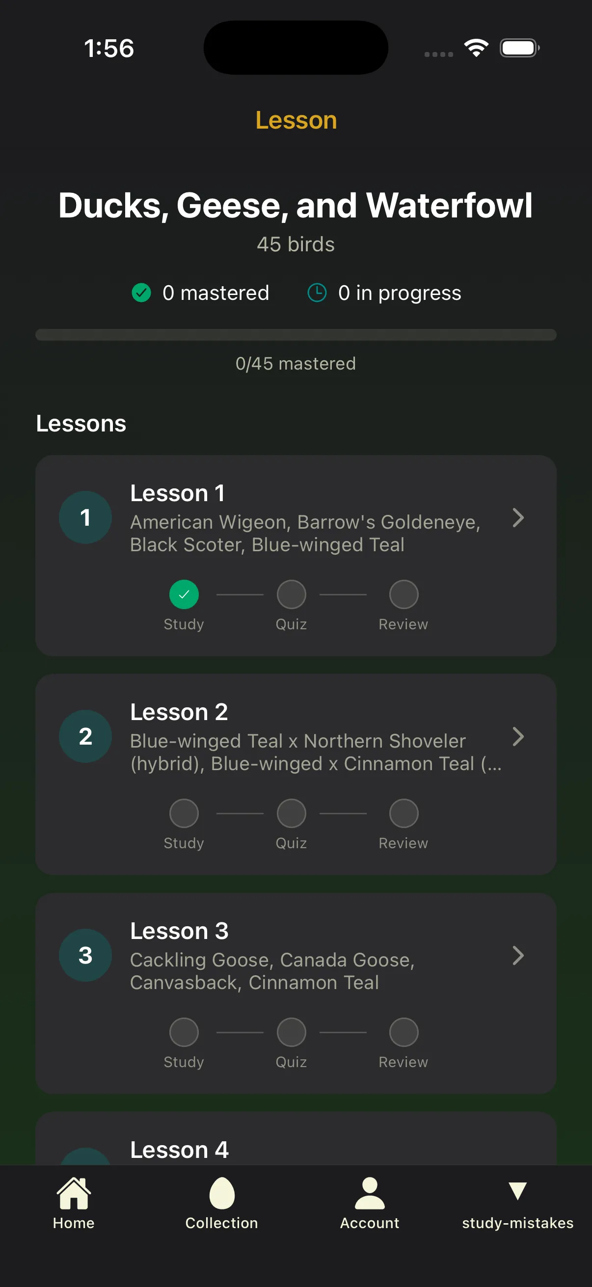 BirdBrain lesson plan screen showing a structured learning path for a bird group