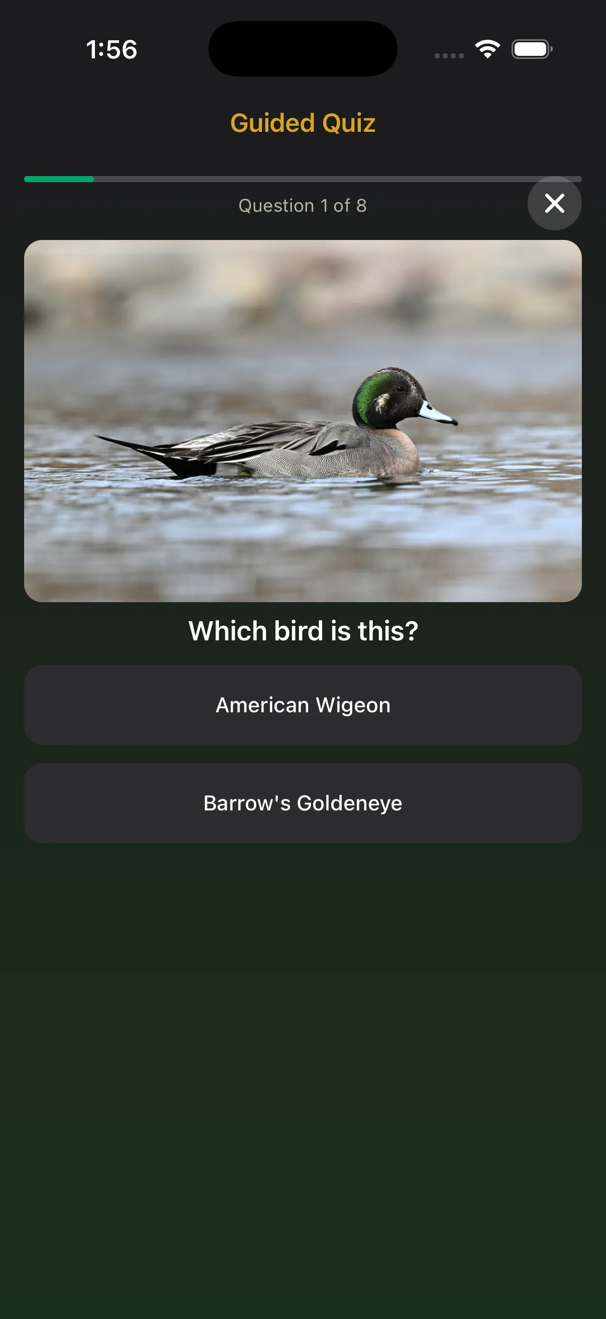 App screen showing a photo quiz to identify a bird